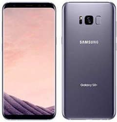 Замена тачскрина на телефоне Samsung Galaxy S8 Plus в Ижевске